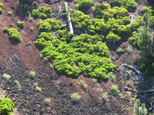 Crater interior